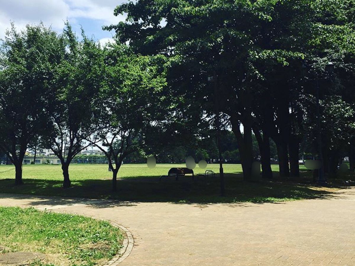 入間駅前プラザ 19号棟 彩の森入間公園(約540m) 彩の森入間公園(約540m)