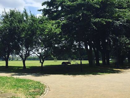 入間駅前プラザ 19号棟 彩の森入間公園(約540m) 彩の森入間公園(約540m)