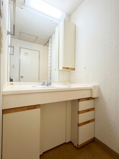 入間駅前プラザ 19号棟 洗面 洗面
