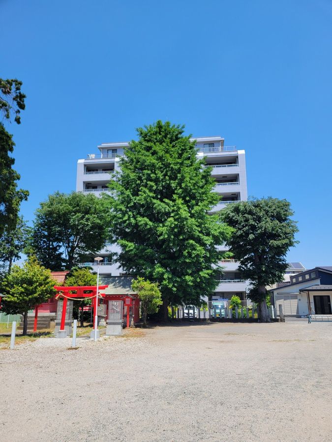 セントフォーレ飯能 外観 外観