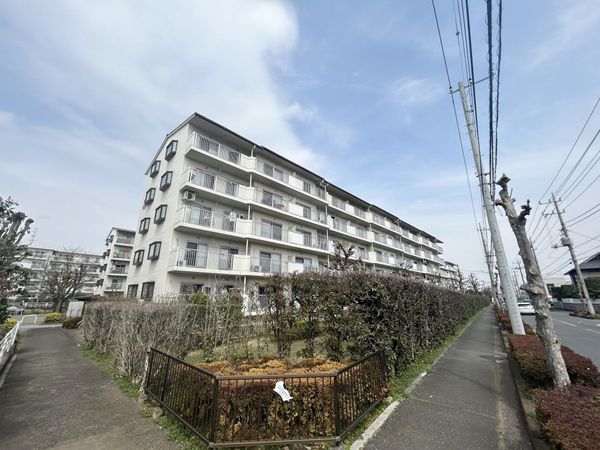 扇町屋団地 20号棟 外観 扇町屋団地 20号棟 外観