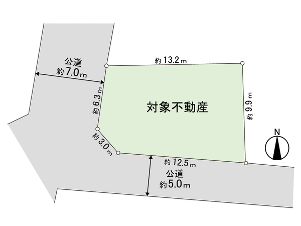 西東京市谷戸町3丁目 土地 地形図