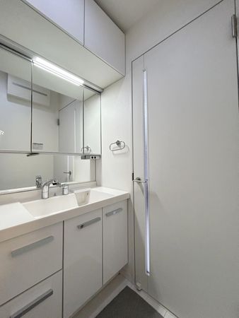 東久留米市中央町1丁目 戸建 洗面 東久留米市中央町1丁目 戸建 洗面