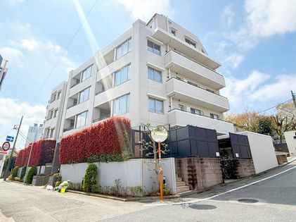 パークハウス練馬ヒルサイドコンフォート 外観