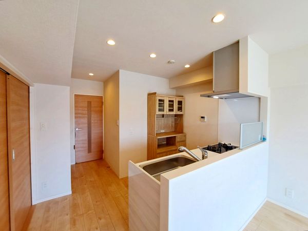 カクタス田無マンション キッチン