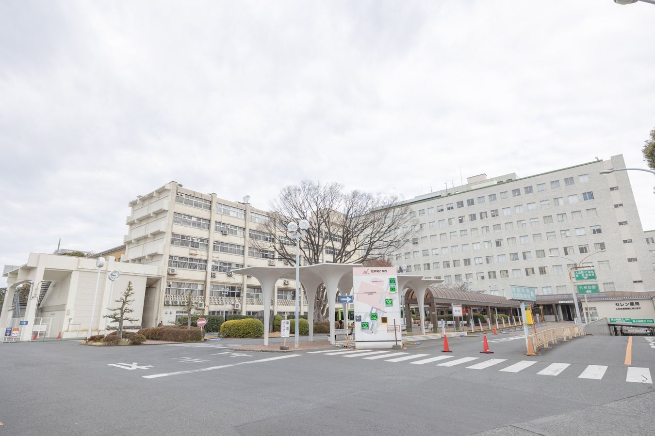 板橋区大谷口上町戸建 日本大学医学部附属板橋病院(約140m) 日本大学医学部附属板橋病院(約140m)