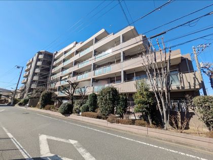 ザ・ステイツ平和台 外観