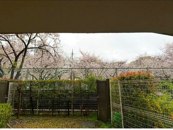 ハウス城北中央公園 庭