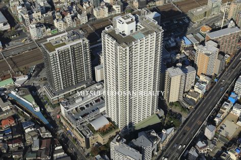 八潮 マンション オファー ペット