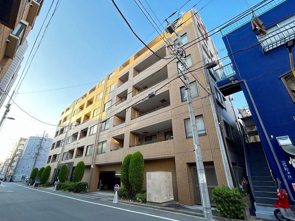 墨田区 マンション ペットok