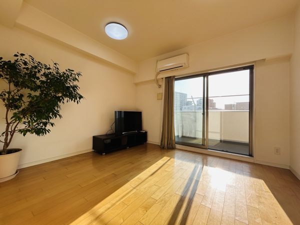 グリーンフォレスト パークアリーナ リビング グリーンフォレスト パークアリーナ リビング