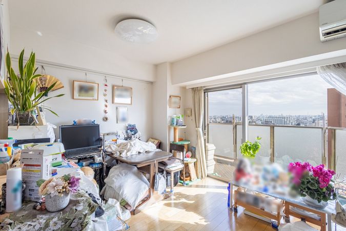 藤和シティホームズ綾瀬しょうぶ沼公園タワービューレジデンス リビング