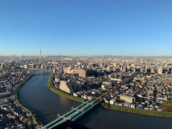 シティタワー金町タワー棟 眺望 シティタワー金町タワー棟 眺望