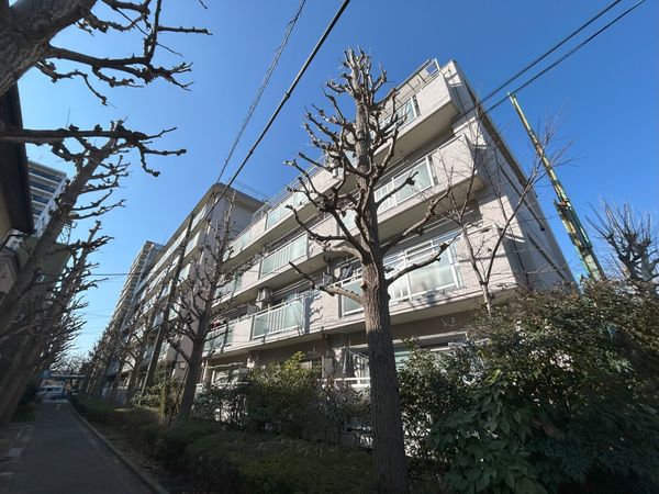 松江マンション 外観 外観