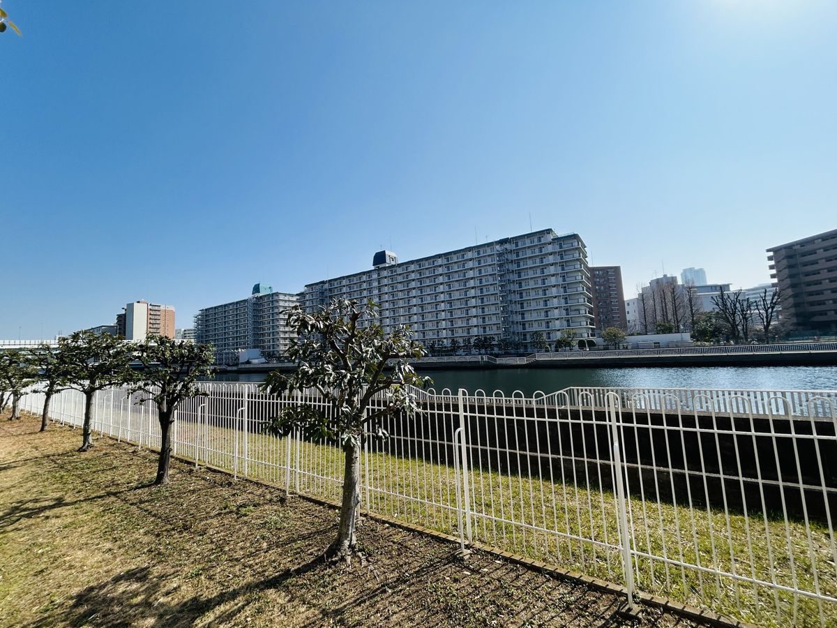 ニューライフマンション木場 眺望 眺望