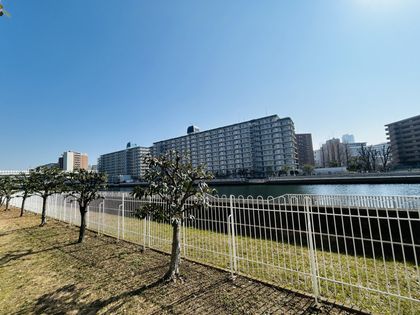 ニューライフマンション木場 眺望 眺望