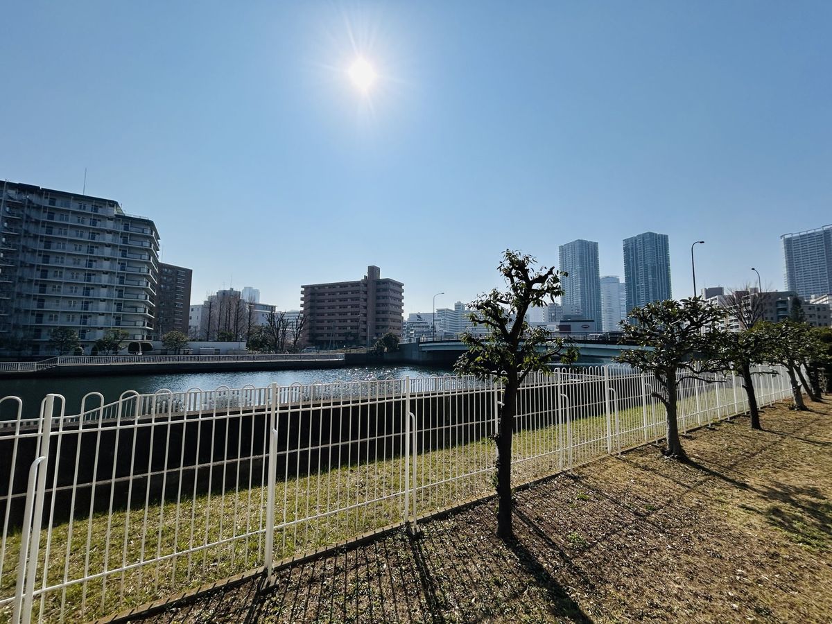 ニューライフマンション木場 眺望 眺望