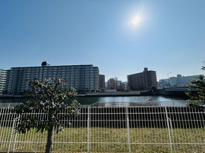 ニューライフマンション木場 眺望 眺望