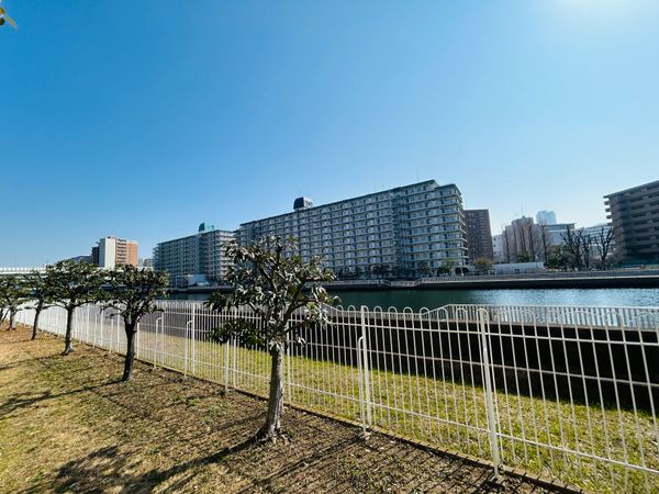 ニューライフマンション木場 眺望