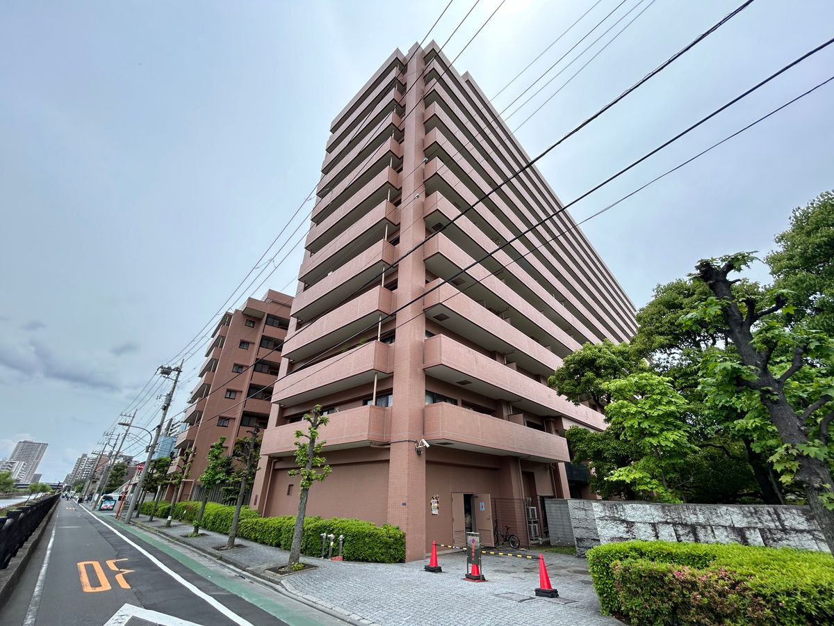 コスモ西大島グランステージ 南棟 外観 外観