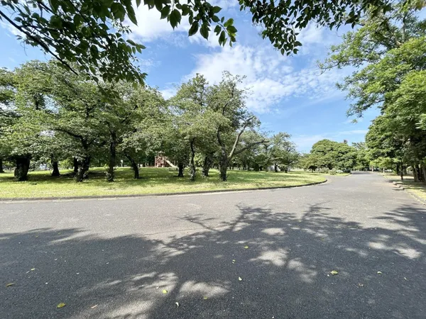 篠崎公園（約500ｍ）