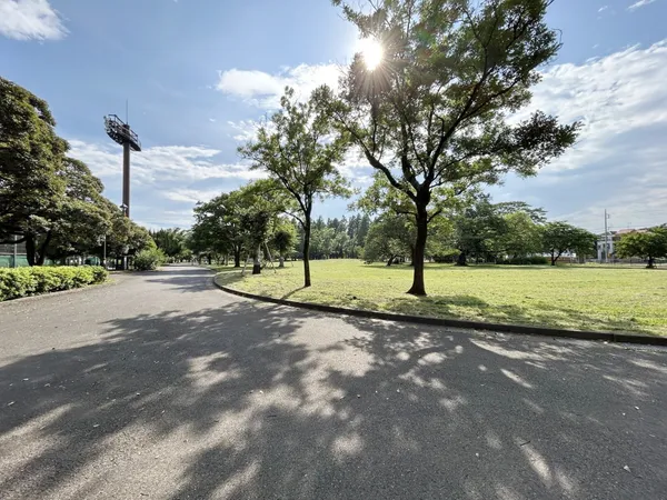 篠崎公園（約500ｍ）