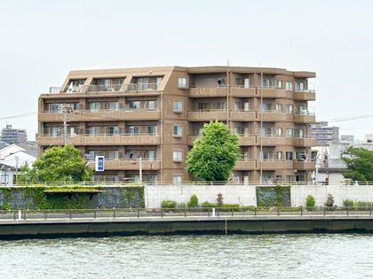 日神パレステージ立石第3 外観