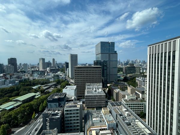 平河町森タワーレジデンス 眺望
