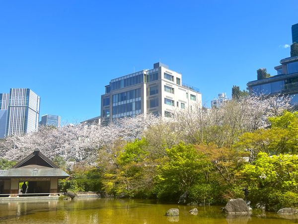 パークマンション六本木 外観