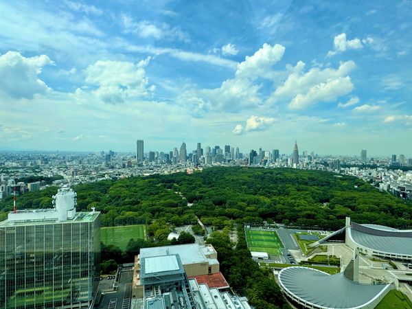 パークコート渋谷ザタワー 眺望 パークコート渋谷ザタワー 眺望