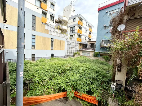 現地写真
