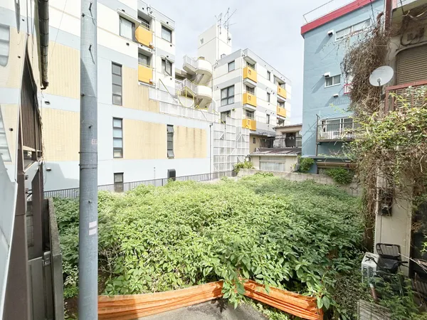 現地写真