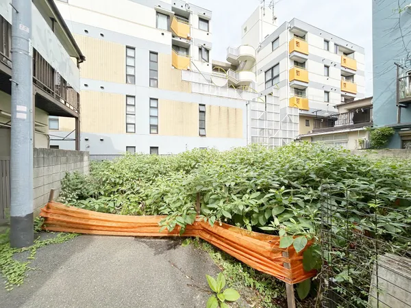 現地写真