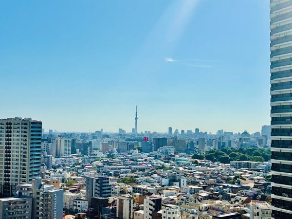 エアライズタワーライズアリーナビル 眺望