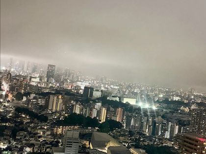 グランドシティタワー池袋 眺望 眺望