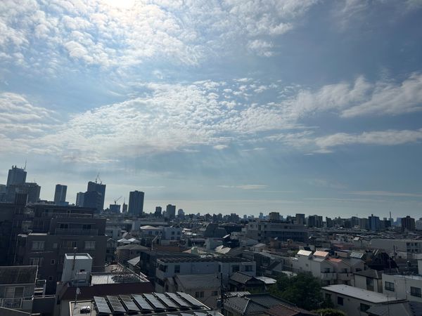 ライオンズシティ椎名町 眺望 ライオンズシティ椎名町 眺望