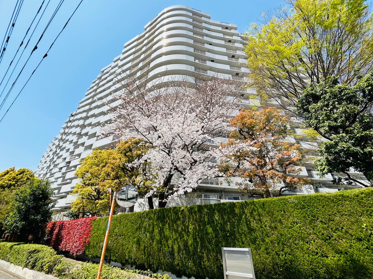 パークシティひばりが丘 外観 外観