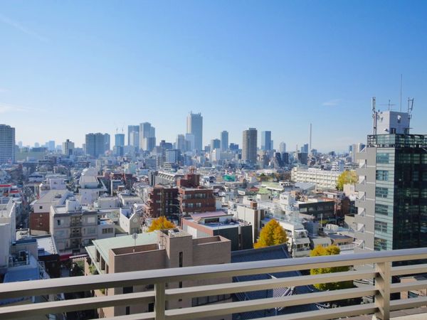 オープンレジデンシア巣鴨ユニーブル 眺望