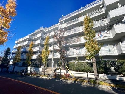 東急ドエルアルス志村坂上 外観