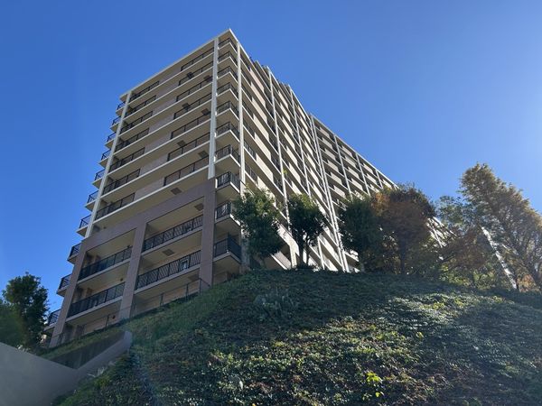 ヴィオスガーデン城山 外観