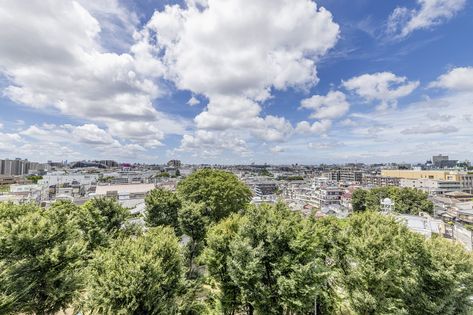 シャンボール志村坂上 眺望