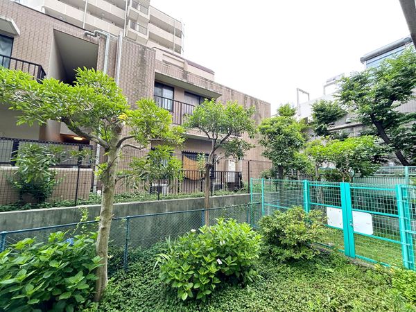 志村サンハイツ 眺望 眺望