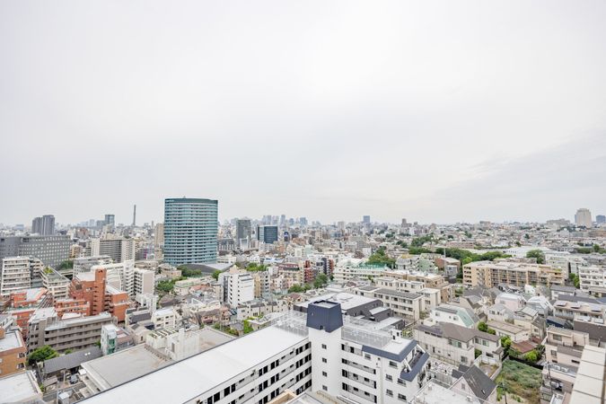 コア伝通院ロイヤル 眺望