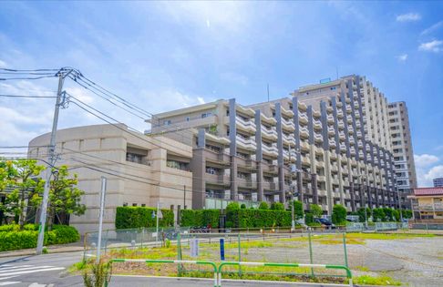 ザ・クレストリヴァシス 外観