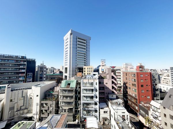 飛鳥山スカイハイツ 眺望