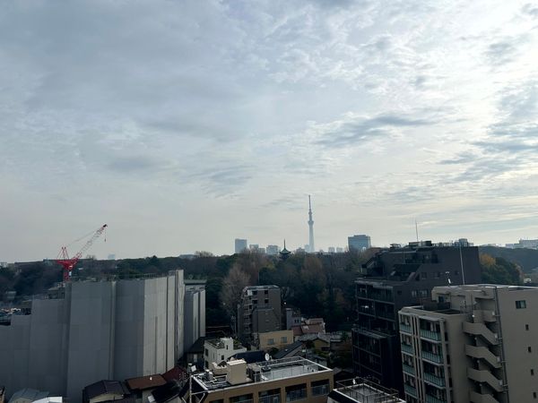 ザ・ライオンズ上野の森 眺望 ザ・ライオンズ上野の森 眺望