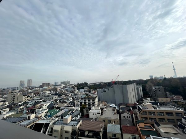 ザ・ライオンズ上野の森 眺望