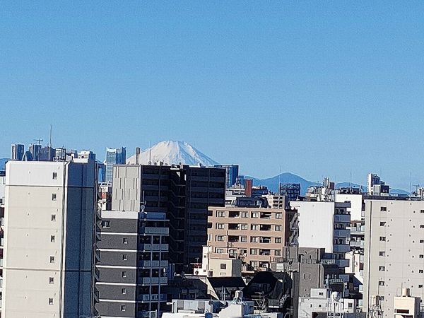 ライオンズシティ東京根岸 眺望 ライオンズシティ東京根岸 眺望