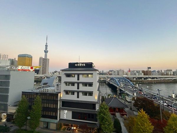 ダイナシティ雷門 眺望 眺望