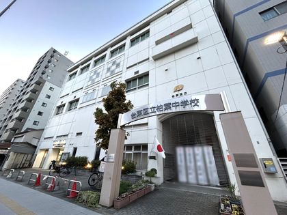 スカイコートヌーベル入谷 区立柏葉中学校(約390m) 区立柏葉中学校(約390m)